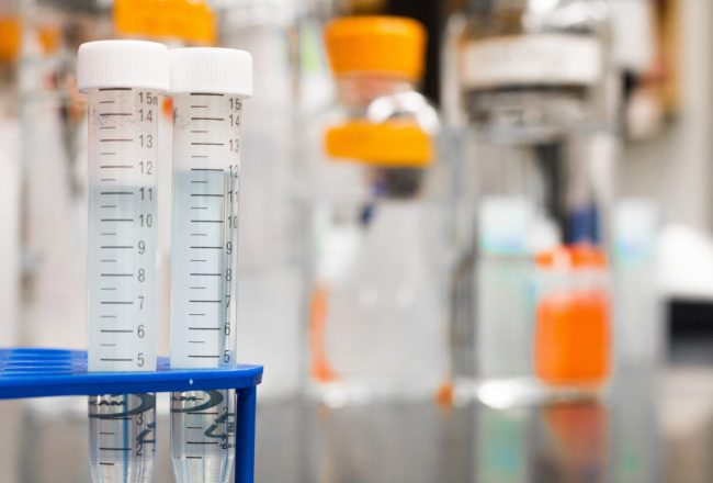 biology-blur-blurred-background-954585 biology-blur-blurred-background-954585